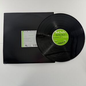 Acid Factor Acid Rain Storm 12” Vinyl Fantasy Remixes StreetBeat Breakbeat (011)